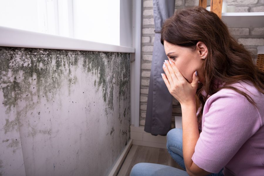 Mold Removal by Keystone Construction & Restoration Inc.